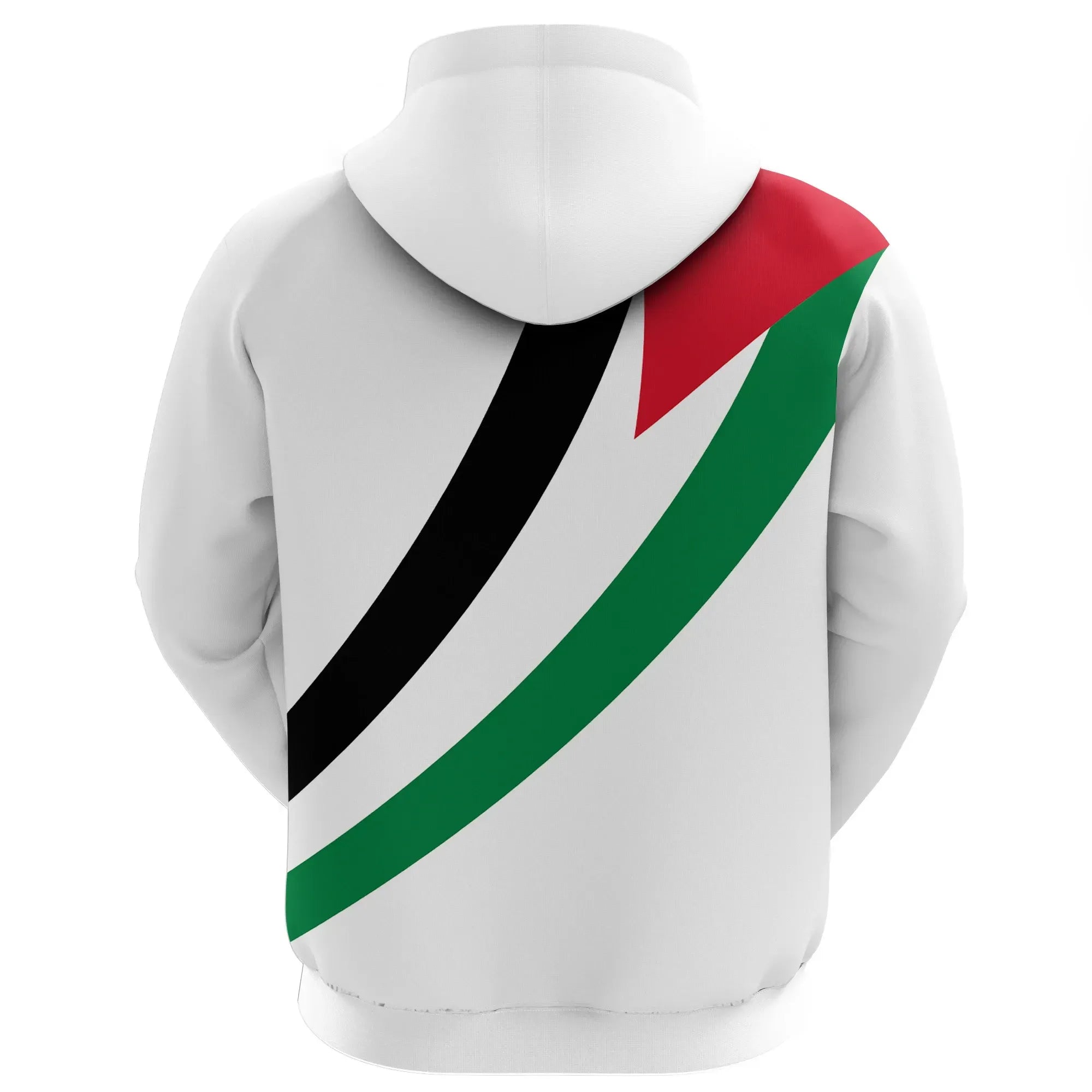 Palestine Special Flag Zip Hoodie RLT13