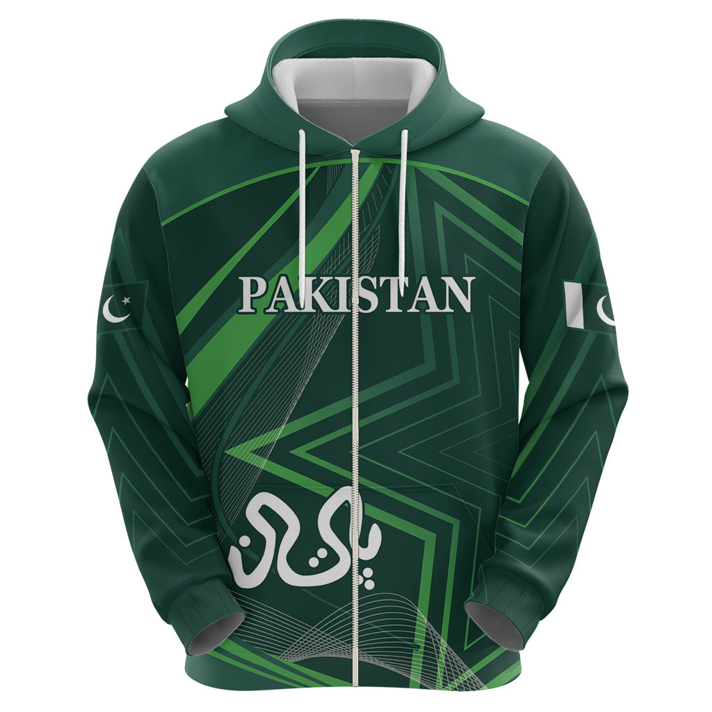 Pakistan Cricket World Cup 2024 Hoodie Shaheens Make Champions LT9
