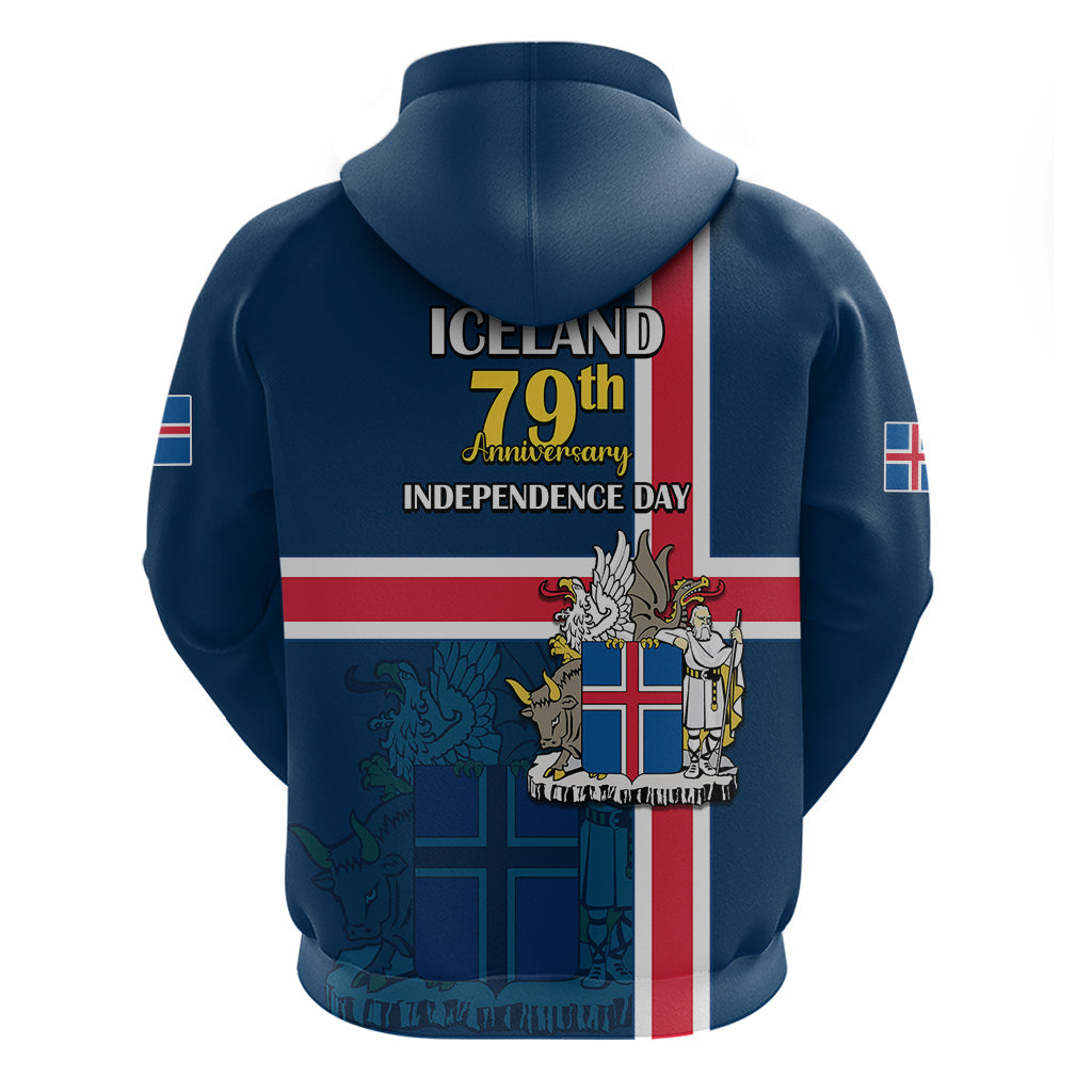 Iceland Hoodie Icelandic National Day LT9